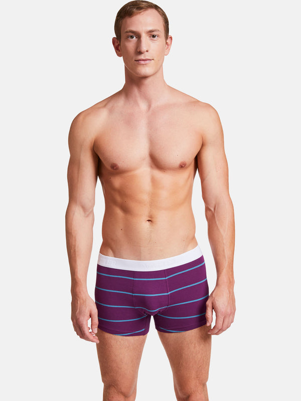Trunk Short "Tight Tim" Purple/Blue Stripes
