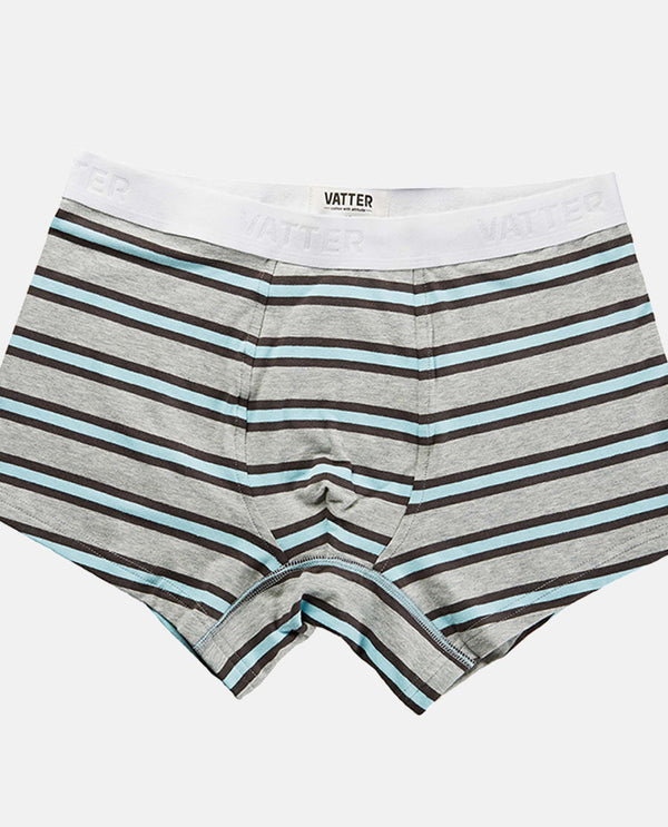 Trunk Short "Tight Tim" Grey/Charcoal/Blue Stripes