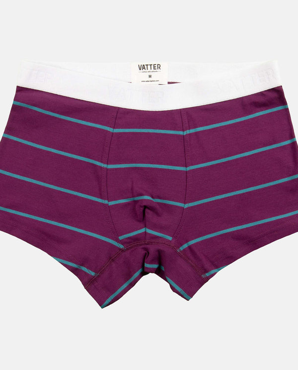 Trunk Short "Tight Tim" Purple/Blue Stripes