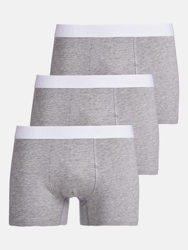 Trunk Short "Tight Tim" Grey Mélange 3-Pack